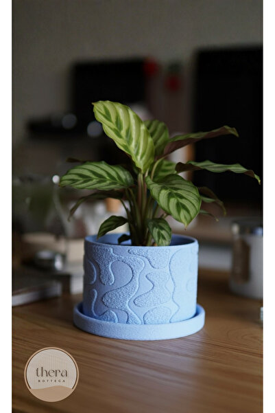 Thera Bottega MOSSA Dekoratif Küçük/Orta Boy Bitki/Sukulent Saksısı 12 CM Çap...