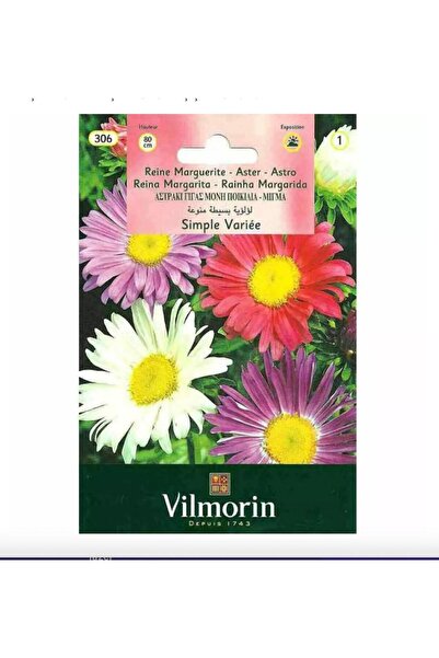 Vilmorin Fibron Gel Aster Margarit Papatya Kraliçe Papatya Çiçeği Yıldız Çiçe...