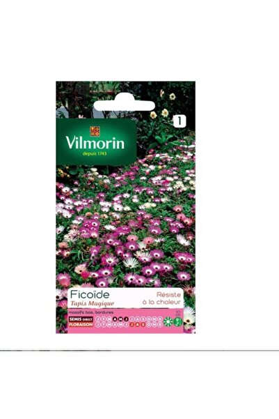 Vilmorin Fibron Gel Buz Çiçeği - Mezem Çiçek Tohumu