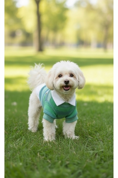 Lokums El yapımı Gömlek Yaka Köpek Kıyafeti - Kazak Modeli - Küçük Irk - Orta...