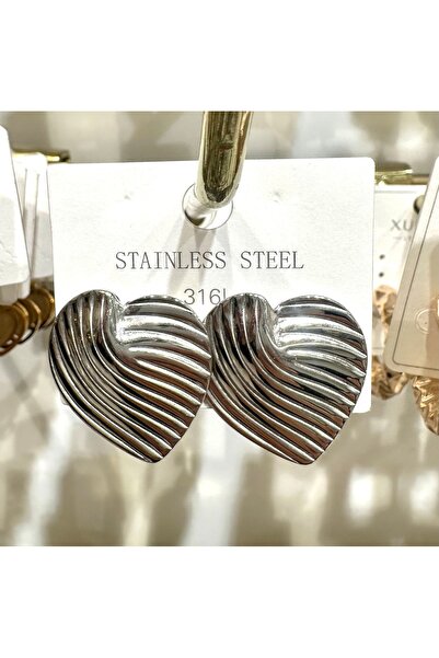 GLOW ACCESSORIES BAE Stainless Steel Heart Steel Earrings