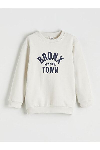 LC Waikiki Lcw Kids Gray Printed Boys' Thick Sweatshirt