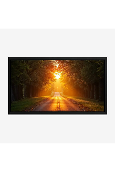 Tajridhome لوحة طبيعة هادئة - طريق مشمس - أشجار خضراء - دافئ - لوحات طبيعة - ...
