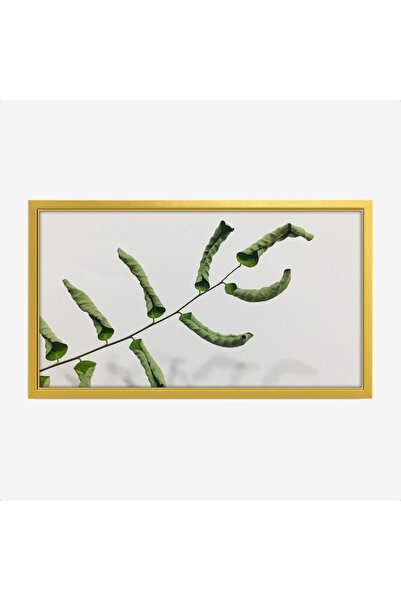 Tajridhome لوحة طبيعة هادئة - ورقة خضراء - خلفية بيضاء - نقي - لوحات كانفاس -...