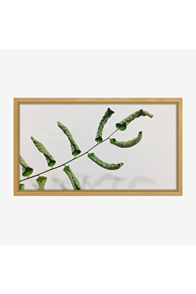 Tajridhome لوحة طبيعة هادئة - ورقة خضراء - خلفية بيضاء - نقي - لوحات كانفاس -...