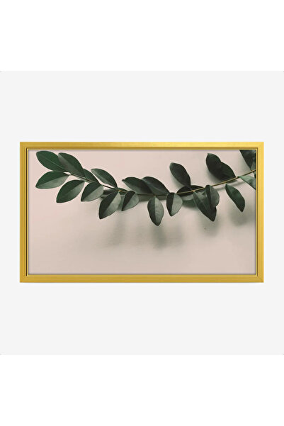 Tajridhome لوحة طبيعة هادئة - أوراق خضراء - خلفية بيج - هادئ - لوحات طبيعة - ...