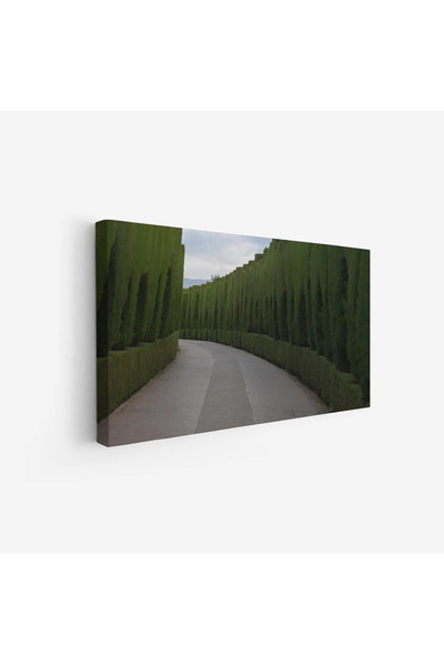 Tajridhome لوحة طبيعة هادئة - ممر محاط بالأشجار - ألوان خضراء وسماء رمادية - ...