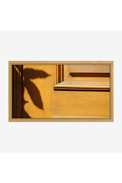Tajridhome لوحة جدارية - باب خشبي - ظل نبات - مشمس - لوحات حائط - لوحات كانفاس