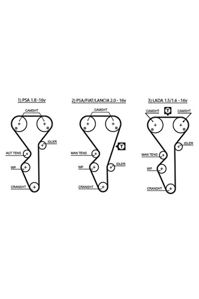 GATES Curea De Distributie Citroen Evasion Microbus/Xantia/Xm Fiat Ulysse
