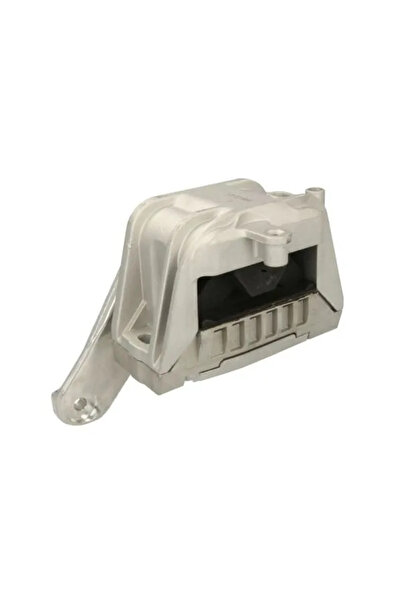 REINHOCH Десен тампон на двигател VW Beetle/Golf 5/Golf 6