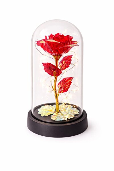 NO BRAND Eternal Rose Rose Aura – Plastic Dome with LED, Romantic Gift for Lo...
