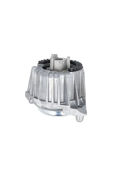 REINHOCH Suport Motor Stanga Mercedes-Benz C-Class/E-Class