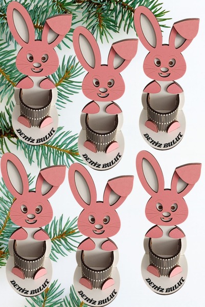 Şirin Lazer 6 Adet İsme Özel Sevimli Tavşan Kalemlik Karne Hediyesi Okuma Bay...