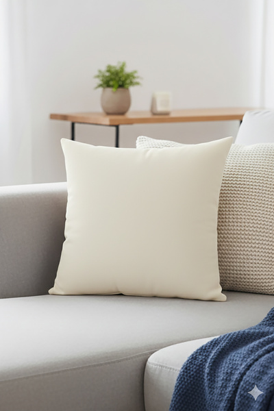 Nisahometeks Stain-Resistant Velvet Throw Pillow and Pillowcase