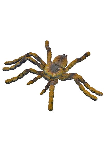 OEM Paianjen Jucarie 5x8.5cm