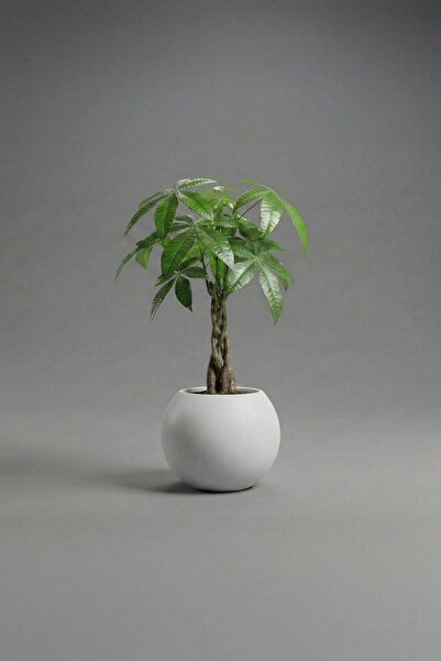 DEQQU Aura Sphere 40 x 35cm Fiber Küre Saksı - Mat - Büyük Saksı - Fiberglass