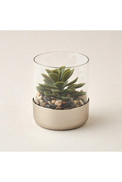 Lifestyle نبتة زينة مع وعاء - 8 × 9 سم