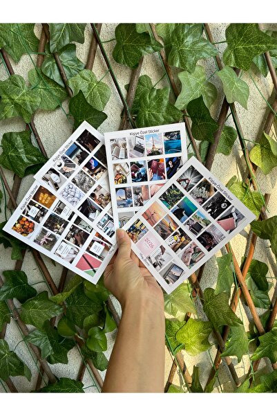 tinystoriestr Kişiye Özel Sticker - 4 Sayfa (64 Adet fotoğraf)