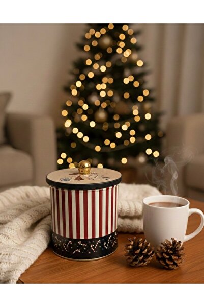 CHEMDLE Metal Saklama Kutusu Dekorarif Obje 15*15 Renkli