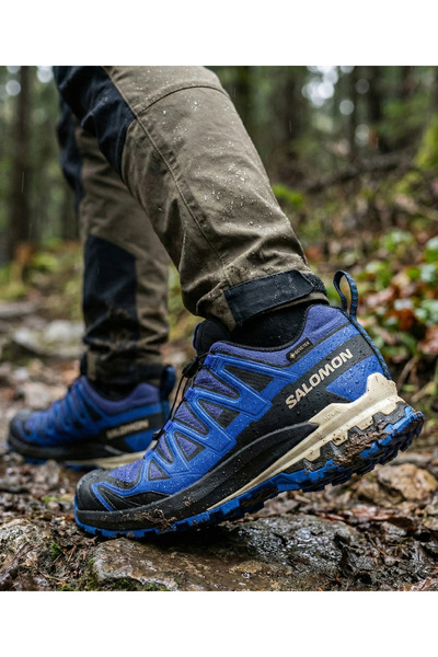 Salomon Xa Pro 3D V9 Gtx Men's Outdoor Shoes Blue