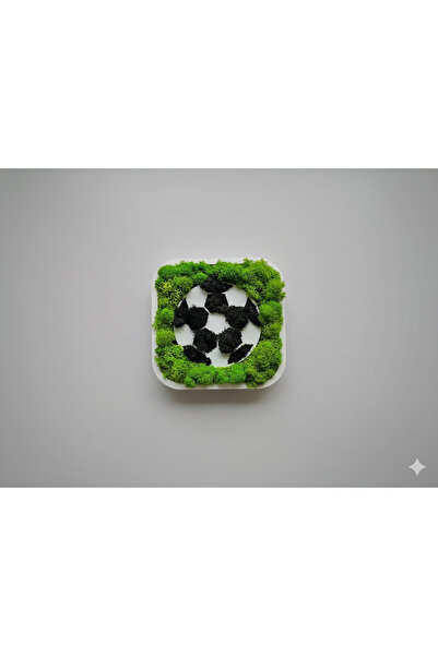 Studio Design 3D decorative painting – Soccer ball made of natural lichens