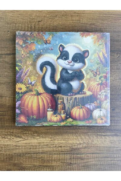 CAN Elmas Mozaik Tablo Seti - Çerçeveli 30x30cm