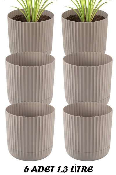 TEMMUZ HOME 1 No 6 Adet 1.3 Litre Zeraf Saksı Ev Ofis ve Dış Mekana Uygun Tab...