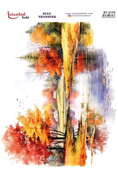İstanbul Hobi Sulu Transfer Kağıdı 25x35cm ST-2176