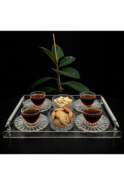 PLEKSİ ORGANİZER Pleksi Silver Kulplu Sunum Tepsisi