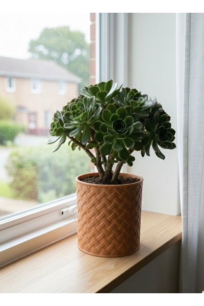 ENOVA HOME Minimalist Sepet Örgü Tasarımlı Saksı