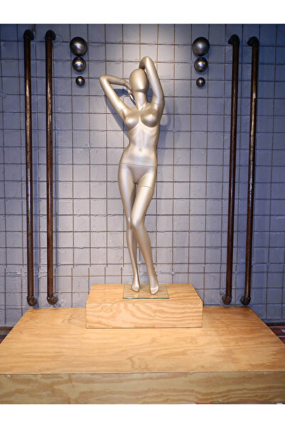 MD Vİtrin Dekorasyon Modern ve Zarif Delüks Vitrin Mankeni Vizon Renk