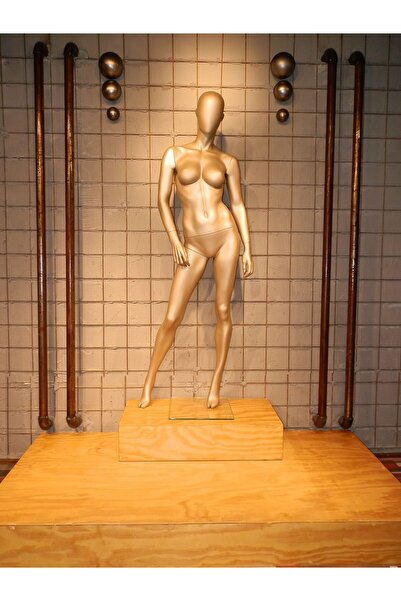 MD Vİtrin Dekorasyon Modern ve Zarif Delüks Vitrin Mankeni Vizon Renk