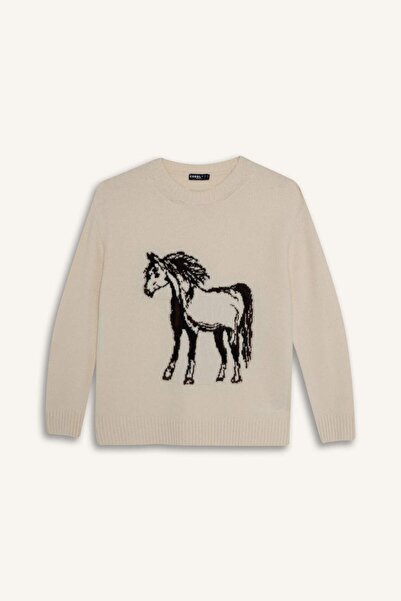 DeFacto Regular Fit Crew Neck Sweater G8663Ax25Wn