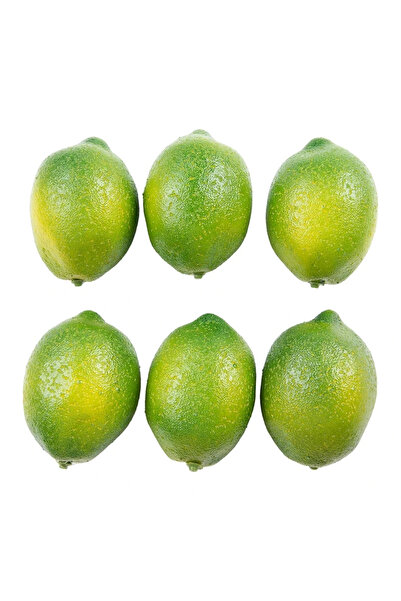 Choice Green Artificial Lemons Versatile Artificial Lemons 6 Piece Foam Fruit...