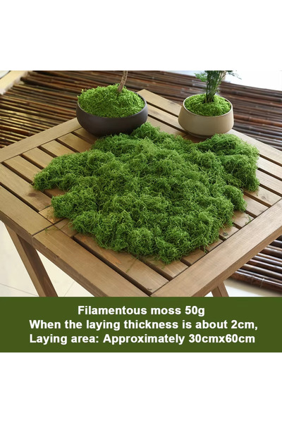 Choice طحلب صناعي دائم الخضرة نابض بالحياة، أخضر داكن، 50 غرام: مثالي للأعمال...