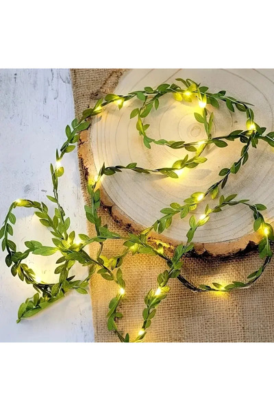 Choice سلسلة إضاءة خارجية دافئة بطول 5 أمتار مزودة بـ 50 مصباح LED على شكل أو...