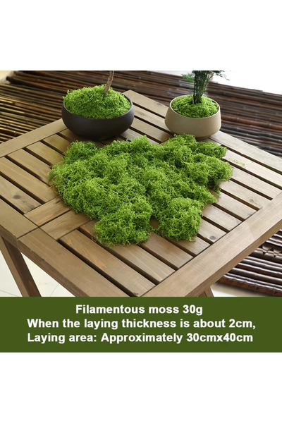 Choice طحلب صناعي دائم الخضرة نابض بالحياة، لون أخضر فاتح، وزن 30 غرام: مثالي...