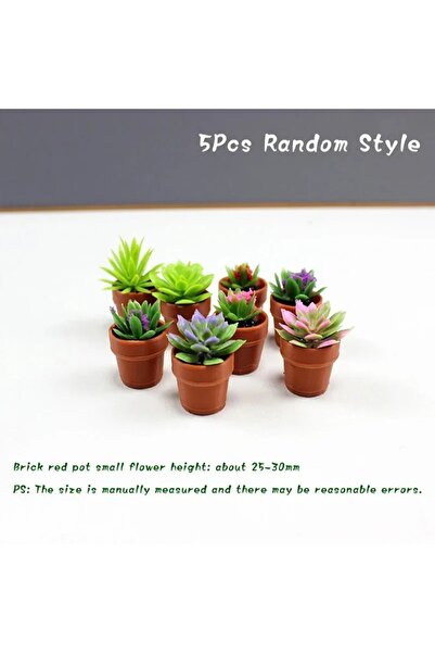 Choice مجموعة من 5 قطع متنوعة، 5 قطع، نموذج مصغر لبيت الدمى بمقياس 1:12، نبات...