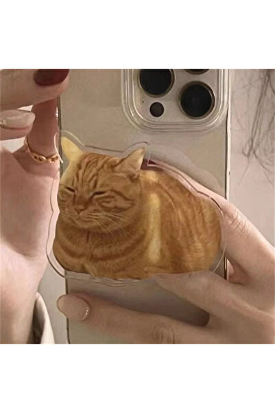 Choice Cat Korean Cute Ginger Cat Phone Grip tok Holder Ring for IPhone 17 16...