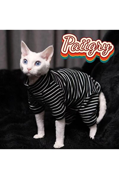 Choice ملابس قطط سوداء بدون شعر، ملابس ثلاثية الألوان لأربعة أرجل، ملابس منزل...