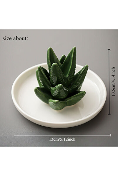 Choice barbados aloe A Nordic style ceramic aloe ring display stand jewelry p...