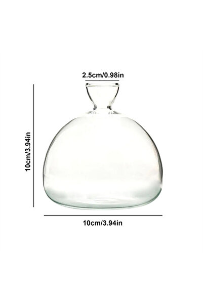 Choice 10x10cm Avocado Seed Starter Vase Transparent Glass Vase Vase For Grow...