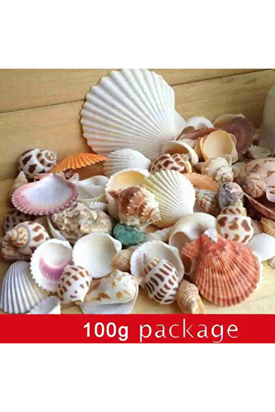 Choice مزيج ١٠٠ غرام B13614A ١٠٠ غرام/كيس مزيج أصداف البحر الشاطئية، أصداف بح...