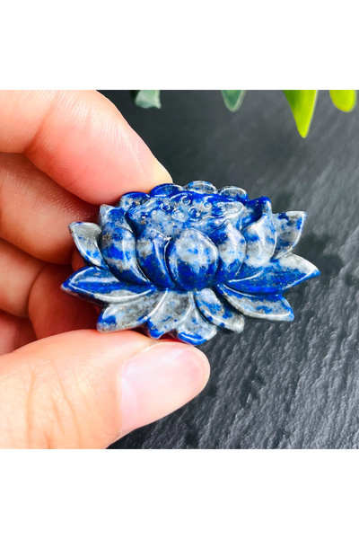 Choice قطعة واحدة من حجر اللوتس من اللازورد، قطعة واحدة من حجر اليوبرلايت الك...