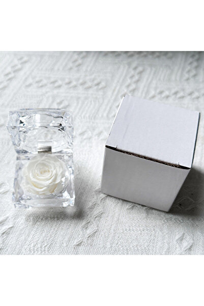 Choice One Size white Immortal Preserved Rose Flower Real Rose Flowers Decora...