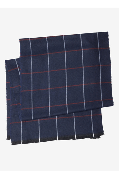 ALTINYILDIZ CLASSICS Lacivert - Bordo Erkek Atkı ACE282610009_BRL