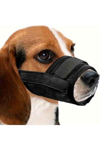 Choice4 قناع فم للكلاب (مقاس XS قديم) مضاد للمضغ، مضاد للنباح، مضاد للعض، مصن...