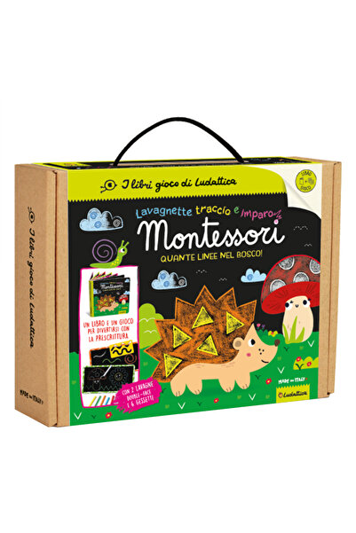 ludattica مجموعة مونتيسوري العملية - مجموعة الرسم والتعلم