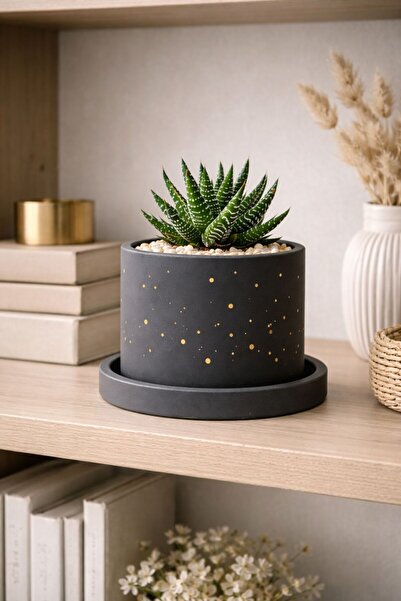 OrganicArtShop Organicart Modern Sukulent Saksı Antrasit (Bitkisiz)