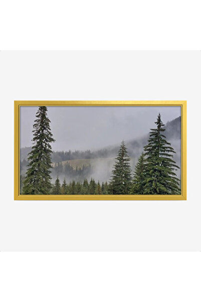 Tajridhome لوحة غابات - أشجار خضراء - ضباب خفيف - هادئ - لوحات طبيعة - لوحات ...